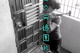 鹰潭工资清欠服务